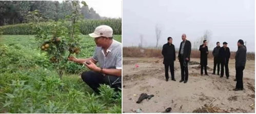 植树节 中山林 营造项目在郑州启动